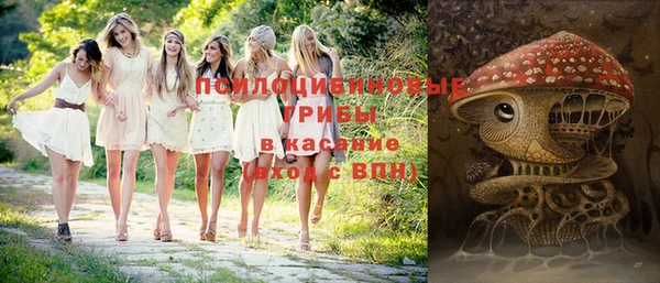 прущие крисы Арсеньев