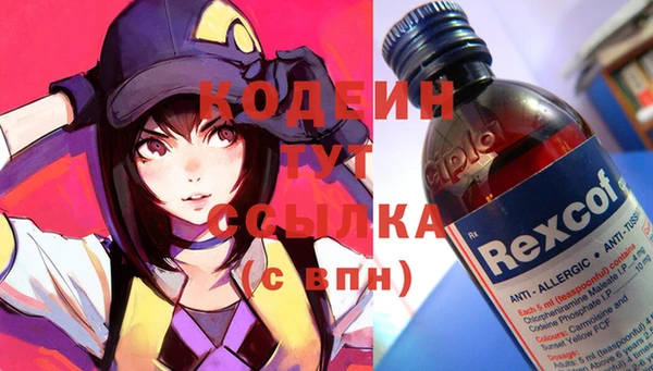 гашик Пересвет