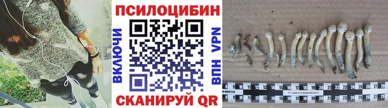 Галлюциногенные грибы GOLDEN TEACHER это официальный сайт Бологое